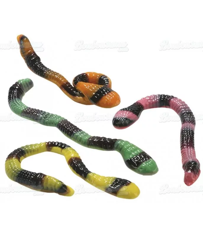 serpent anaconda 35gr prix pour 100gr
